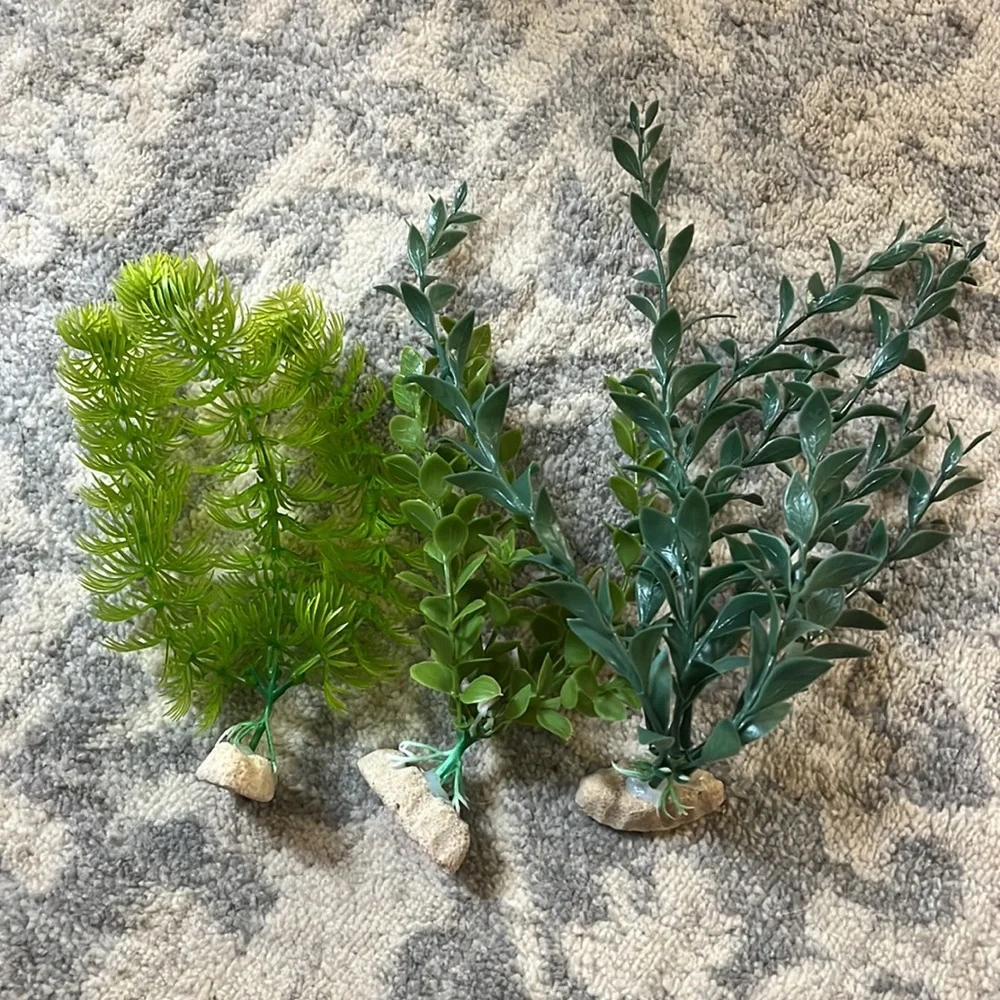 Fish tank decor